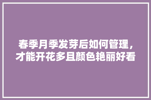 春季月季发芽后如何管理，才能开花多且颜色艳丽好看「春季蔬菜种植小技巧视频教程」