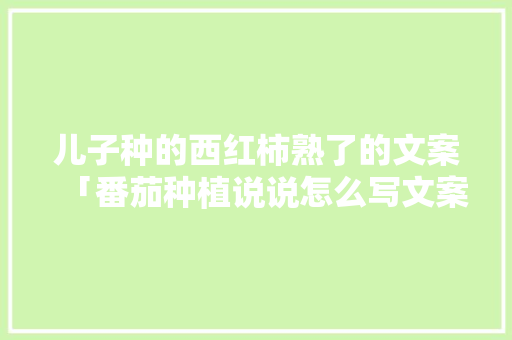 儿子种的西红柿熟了的文案「番茄种植说说怎么写文案吸引人」 儿子种的西红柿熟了的文案「番茄种植说说怎么写文案吸引人」 番茄种植技巧