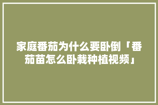 家庭番茄为什么要卧倒「番茄苗怎么卧栽种植视频」
