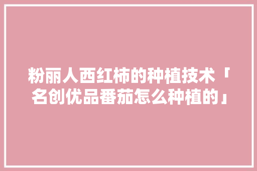 粉丽人西红柿的种植技术「名创优品番茄怎么种植的」 粉丽人西红柿的种植技术「名创优品番茄怎么种植的」 植物种类