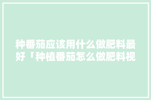 种番茄应该用什么做肥料最好「种植番茄怎么做肥料视频」 番茄种植技巧 种番茄应该用什么做肥料最好「种植番茄怎么做肥料视频」 种番茄应该用什么做肥料最好「种植番茄怎么做肥料视频」 番茄种植技巧