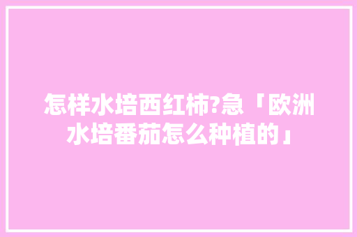 怎样水培西红柿?急「欧洲水培番茄怎么种植的」 怎样水培西红柿?急「欧洲水培番茄怎么种植的」 番茄种植技巧