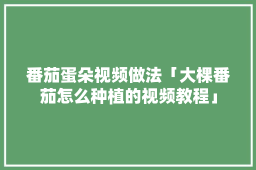 番茄蛋朵视频做法「大棵番茄怎么种植的视频教程」 番茄蛋朵视频做法「大棵番茄怎么种植的视频教程」 番茄种植技巧