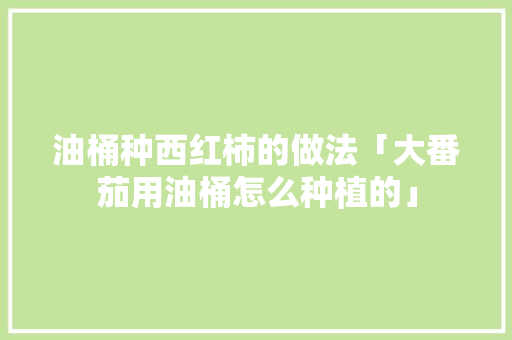 油桶种西红柿的做法「大番茄用油桶怎么种植的」 油桶种西红柿的做法「大番茄用油桶怎么种植的」 番茄病虫害防治