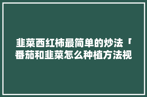 韭菜西红柿最简单的炒法「番茄和韭菜怎么种植方法视频」