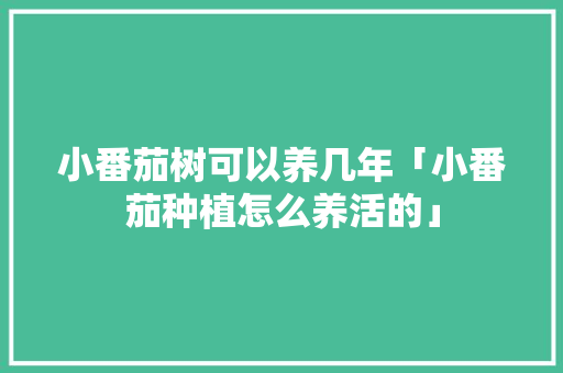 小番茄树可以养几年「小番茄种植怎么养活的」 小番茄树可以养几年「小番茄种植怎么养活的」 花朵知识