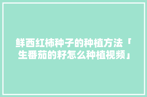 鲜西红柿种子的种植方法「生番茄的籽怎么种植视频」 鲜西红柿种子的种植方法「生番茄的籽怎么种植视频」 番茄病虫害防治