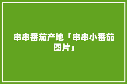 串串番茄产地「串串小番茄图片」 串串番茄产地「串串小番茄图片」 花朵知识