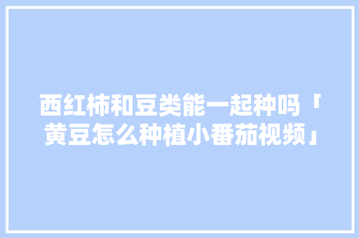 西红柿和豆类能一起种吗「黄豆怎么种植小番茄视频」