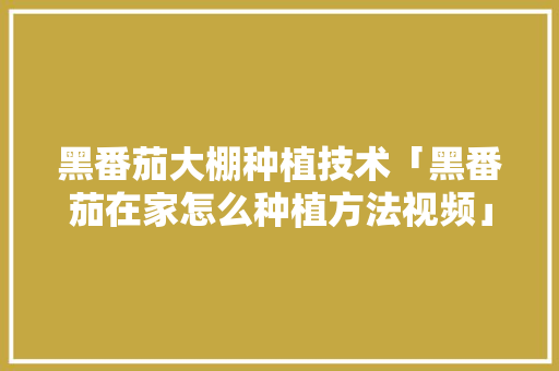 黑番茄大棚种植技术「黑番茄在家怎么种植方法视频」 黑番茄大棚种植技术「黑番茄在家怎么种植方法视频」 番茄种植技巧