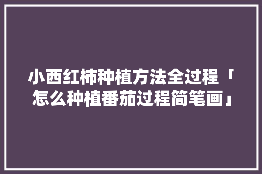 小西红柿种植方法全过程「怎么种植番茄过程简笔画」 植物种类 小西红柿种植方法全过程「怎么种植番茄过程简笔画」 小西红柿种植方法全过程「怎么种植番茄过程简笔画」 植物种类