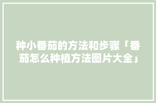 种小番茄的方法和步骤「番茄怎么种植方法图片大全」 种小番茄的方法和步骤「番茄怎么种植方法图片大全」 花朵知识