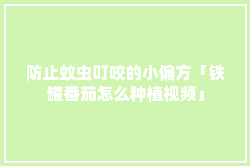 防止蚊虫叮咬的小偏方「铁罐番茄怎么种植视频」 防止蚊虫叮咬的小偏方「铁罐番茄怎么种植视频」 农业常识