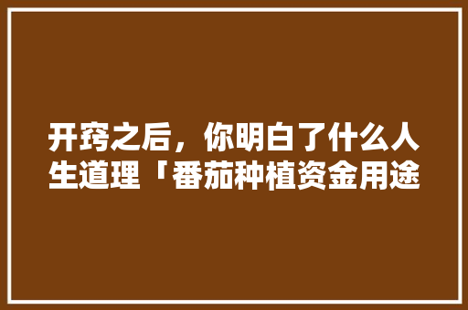 开窍之后，你明白了什么人生道理「番茄种植资金用途怎么填写」 开窍之后，你明白了什么人生道理「番茄种植资金用途怎么填写」 土壤施肥