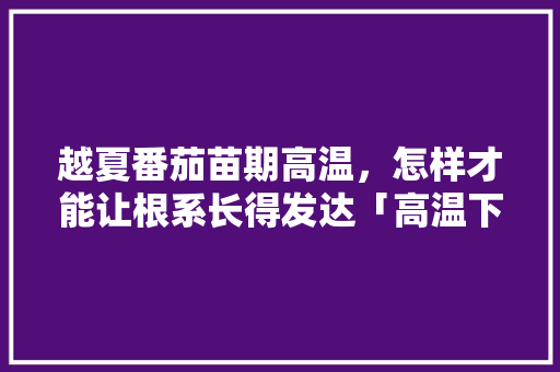 越夏番茄苗期高温，怎样才能让根系长得发达「高温下怎么种植番茄苗子呢」 越夏番茄苗期高温，怎样才能让根系长得发达「高温下怎么种植番茄苗子呢」 番茄病虫害防治