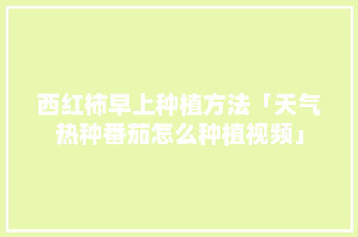 西红柿早上种植方法「天气热种番茄怎么种植视频」 种植技巧 西红柿早上种植方法「天气热种番茄怎么种植视频」 西红柿早上种植方法「天气热种番茄怎么种植视频」 种植技巧