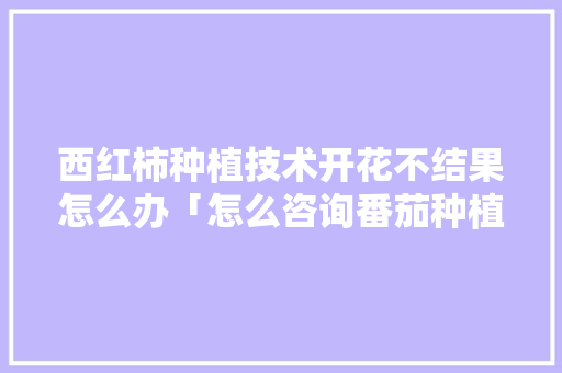 西红柿种植技术开花不结果怎么办「怎么咨询番茄种植问题呢知乎」 西红柿种植技术开花不结果怎么办「怎么咨询番茄种植问题呢知乎」 土壤施肥