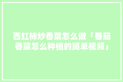 西红柿炒香菜怎么做「番茄香菜怎么种植的简单视频」 西红柿炒香菜怎么做「番茄香菜怎么种植的简单视频」 花朵知识
