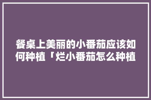 餐桌上美丽的小番茄应该如何种植「烂小番茄怎么种植的视频」 餐桌上美丽的小番茄应该如何种植「烂小番茄怎么种植的视频」 番茄病虫害防治