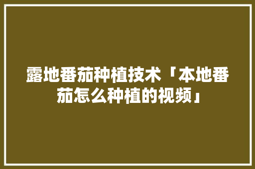 露地番茄种植技术「本地番茄怎么种植的视频」 露地番茄种植技术「本地番茄怎么种植的视频」 种植技巧