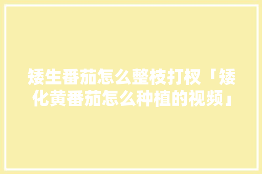 矮生番茄怎么整枝打杈「矮化黄番茄怎么种植的视频」