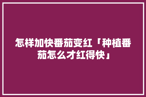 怎样加快番茄变红「种植番茄怎么才红得快」 怎样加快番茄变红「种植番茄怎么才红得快」 植物种类