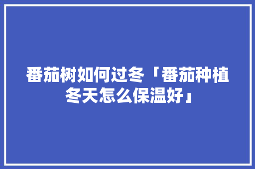 番茄树如何过冬「番茄种植冬天怎么保温好」