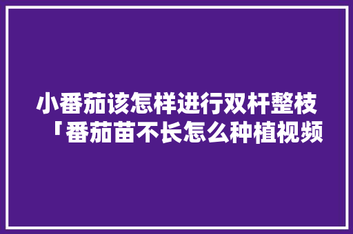小番茄该怎样进行双杆整枝「番茄苗不长怎么种植视频教程」 小番茄该怎样进行双杆整枝「番茄苗不长怎么种植视频教程」 农业常识