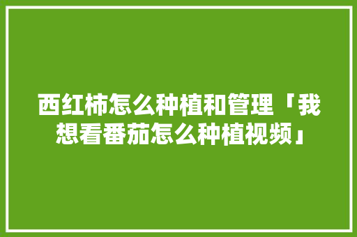 西红柿怎么种植和管理「我想看番茄怎么种植视频」 西红柿怎么种植和管理「我想看番茄怎么种植视频」 植物种类