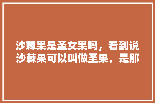 沙棘果是圣女果吗，看到说沙棘果可以叫做圣果，是那种小番茄吗，有一种小番茄就叫圣女果，请问一样吗「怎么种植红圣果番茄种子」 沙棘果是圣女果吗，看到说沙棘果可以叫做圣果，是那种小番茄吗，有一种小番茄就叫圣女果，请问一样吗「怎么种植红圣果番茄种子」 植物种类