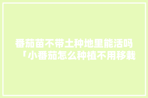 番茄苗不带土种地里能活吗「小番茄怎么种植不用移栽呢」 番茄苗不带土种地里能活吗「小番茄怎么种植不用移栽呢」 番茄病虫害防治