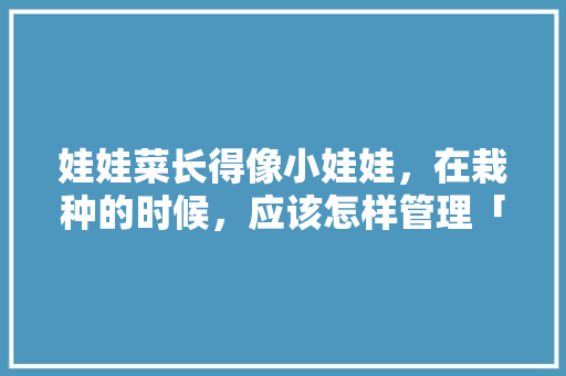 娃娃菜长得像小娃娃,在栽种的时候,应该怎样管理「花箱种植番茄怎么种植好呢」 番茄种植技巧 娃娃菜长得像小娃娃,在栽种的时候,应该怎样管理「花箱种植番茄怎么种植好呢」 娃娃菜长得像小娃娃,在栽种的时候,应该怎样管理「花箱种植番茄怎么种植好呢」 番茄种植技巧