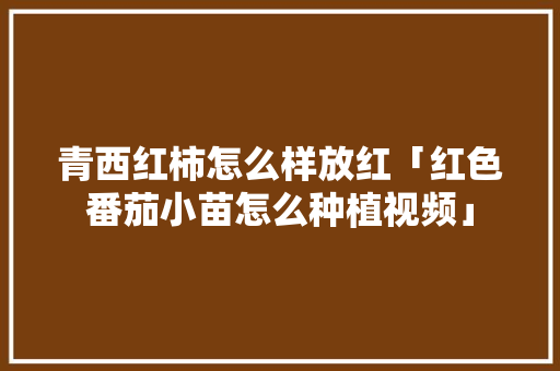 青西红柿怎么样放红「红色番茄小苗怎么种植视频」 青西红柿怎么样放红「红色番茄小苗怎么种植视频」 植物种类