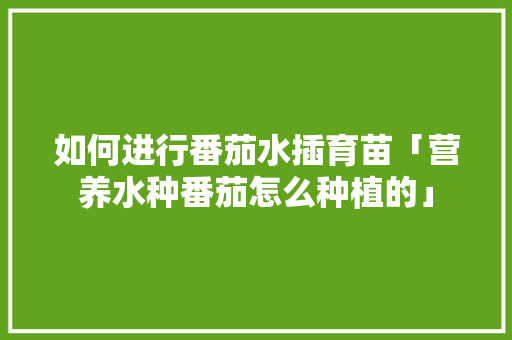 如何进行番茄水插育苗「营养水种番茄怎么种植的」 如何进行番茄水插育苗「营养水种番茄怎么种植的」 花朵知识