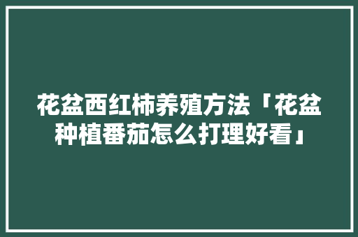 花盆西红柿养殖方法「花盆种植番茄怎么打理好看」 土壤施肥 花盆西红柿养殖方法「花盆种植番茄怎么打理好看」 花盆西红柿养殖方法「花盆种植番茄怎么打理好看」 土壤施肥