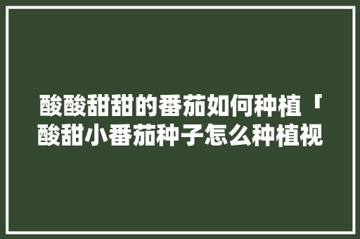 酸酸甜甜的番茄如何种植「酸甜小番茄种子怎么种植视频」 花朵知识 酸酸甜甜的番茄如何种植「酸甜小番茄种子怎么种植视频」 酸酸甜甜的番茄如何种植「酸甜小番茄种子怎么种植视频」 花朵知识
