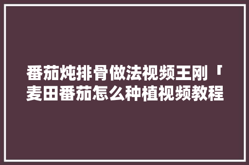 番茄炖排骨做法视频王刚「麦田番茄怎么种植视频教程」 花朵知识 番茄炖排骨做法视频王刚「麦田番茄怎么种植视频教程」 番茄炖排骨做法视频王刚「麦田番茄怎么种植视频教程」 花朵知识