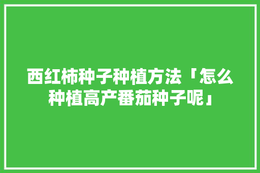 西红柿种子种植方法「怎么种植高产番茄种子呢」 西红柿种子种植方法「怎么种植高产番茄种子呢」 番茄种植技巧