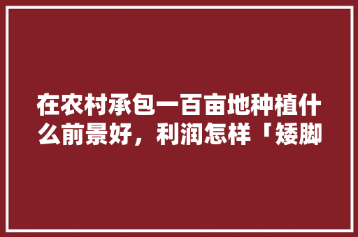 在农村承包一百亩地种植什么前景好，利润怎样「矮脚番茄怎么种植的图片大全」 在农村承包一百亩地种植什么前景好，利润怎样「矮脚番茄怎么种植的图片大全」 植物种类