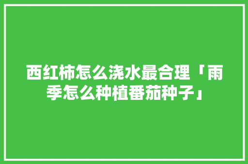 西红柿怎么浇水最合理「雨季怎么种植番茄种子」 种植技巧 西红柿怎么浇水最合理「雨季怎么种植番茄种子」 西红柿怎么浇水最合理「雨季怎么种植番茄种子」 种植技巧