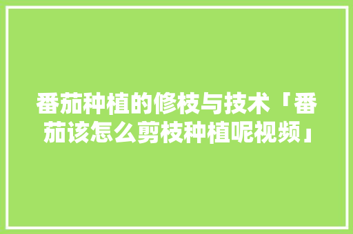 番茄种植的修枝与技术「番茄该怎么剪枝种植呢视频」 番茄种植的修枝与技术「番茄该怎么剪枝种植呢视频」 番茄种植技巧