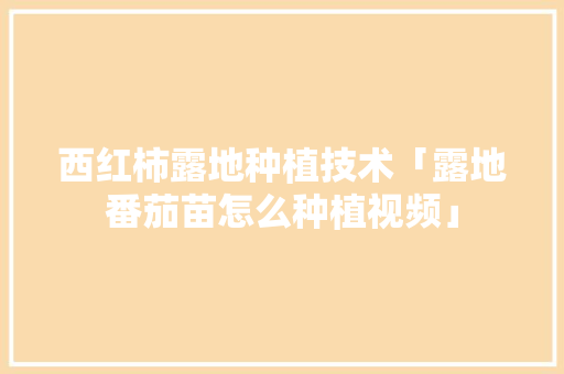 西红柿露地种植技术「露地番茄苗怎么种植视频」 西红柿露地种植技术「露地番茄苗怎么种植视频」 土壤施肥