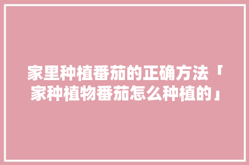 家里种植番茄的正确方法「家种植物番茄怎么种植的」 家里种植番茄的正确方法「家种植物番茄怎么种植的」 土壤施肥
