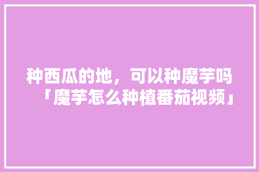 种西瓜的地，可以种魔芋吗「魔芋怎么种植番茄视频」