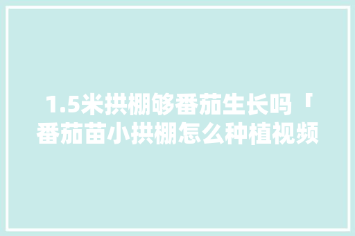 1.5米拱棚够番茄生长吗「番茄苗小拱棚怎么种植视频」 1.5米拱棚够番茄生长吗「番茄苗小拱棚怎么种植视频」 番茄种植技巧