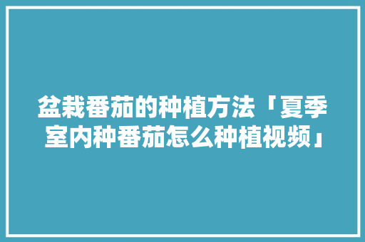 盆栽番茄的种植方法「夏季室内种番茄怎么种植视频」