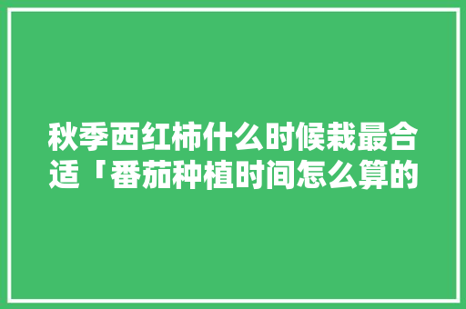 秋季西红柿什么时候栽最合适「番茄种植时间怎么算的」 秋季西红柿什么时候栽最合适「番茄种植时间怎么算的」 番茄种植技巧