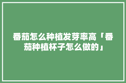 番茄怎么种植发芽率高「番茄种植杯子怎么做的」