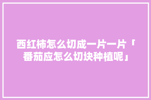 西红柿怎么切成一片一片「番茄应怎么切块种植呢」 植物种类 西红柿怎么切成一片一片「番茄应怎么切块种植呢」 西红柿怎么切成一片一片「番茄应怎么切块种植呢」 植物种类
