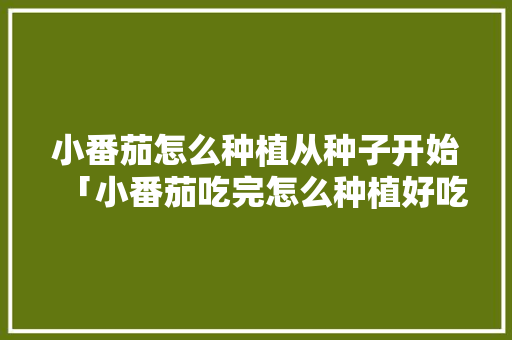 小番茄怎么种植从种子开始「小番茄吃完怎么种植好吃呢」 小番茄怎么种植从种子开始「小番茄吃完怎么种植好吃呢」 番茄种植技巧